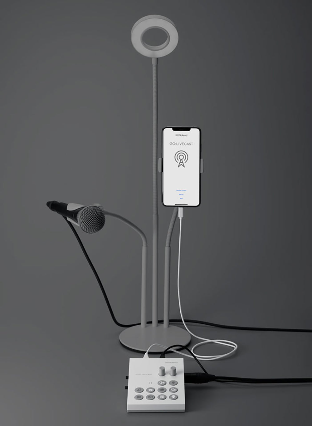Roland GO:LIVECAST Schede Audio