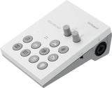 Roland GO:LIVECAST Schede Audio