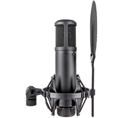 sE Electronics sE2200 Microfono a Condensatore da Studio