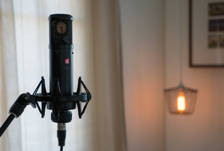 sE Electronics sE2200 Microfono a Condensatore da Studio