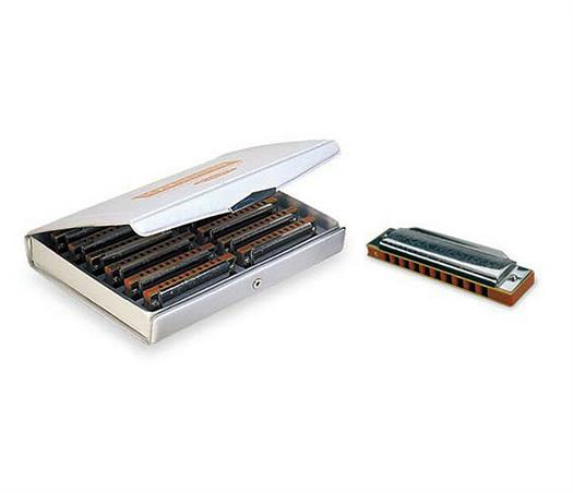 Suzuki Folkmaster armonica. Set con 12 note