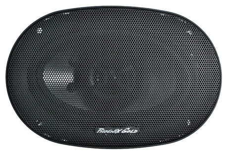 Phoenix Gold Coaxial Speakers 4x6"