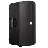 Impianto Karaoke con 2 Microfoni (Nero)