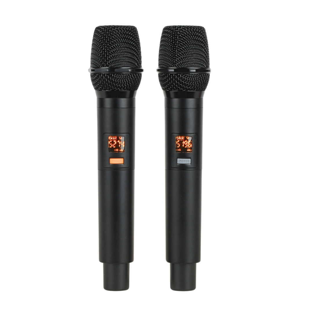 V-TONE BQ12 GO altoparlante portatile