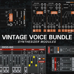 Bundle Vintage Voice